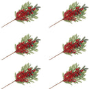 Pine And Berries Pick - Set of 6