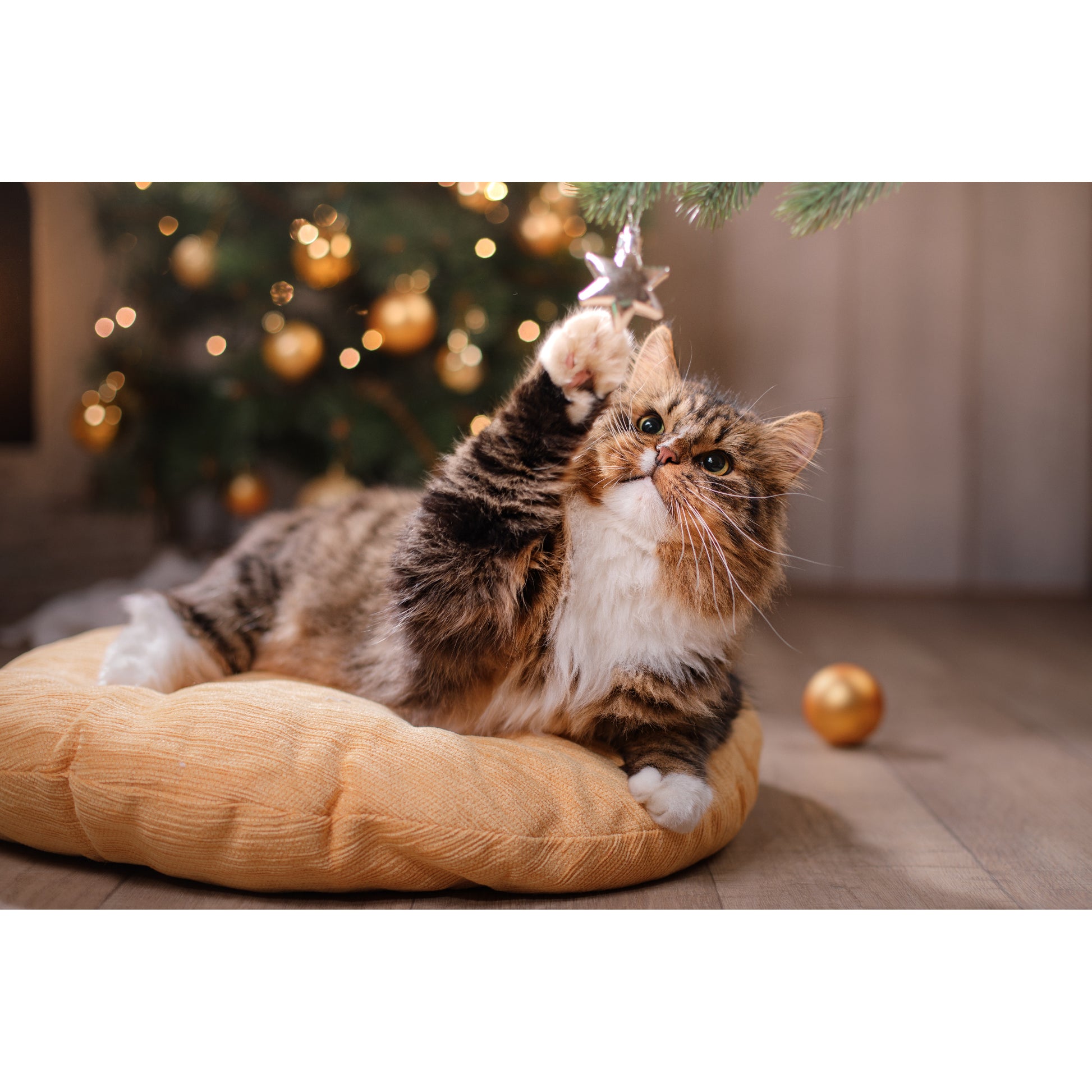 Plastic Placemat Cat Playing with Ornament, Placemat, Holiday Decor- Set of 12