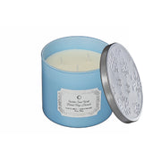 Christmas 3 Wick Jar Candle Winter Snow Walk 14 Oz, Holiday Candle, Festive Fragrance
