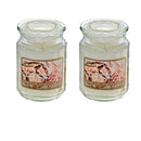 18 Oz Scented Jar Candle (Peppermint Bark) - Set of 2