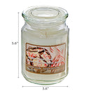 18 Oz Scented Jar Candle (Peppermint Bark) - Set of 2