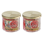 14 Oz Three Wick Jar Candle with Metal Lid Christmas Cranberry Fragrance - Set of 2, Holiday Candle, Christmas Decor, Festive Table Accent