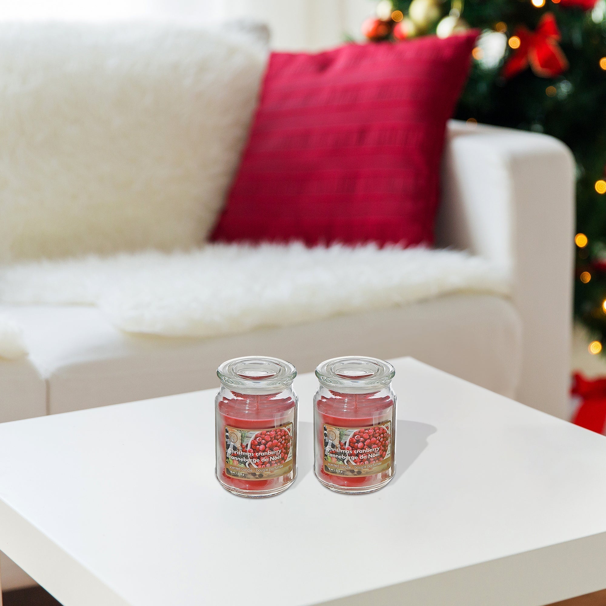 18 oz Scented Jar Candle with Christmas Cranberry Fragrance - Set of 2, Holiday Candle, Christmas Decor, Festive Home Accent