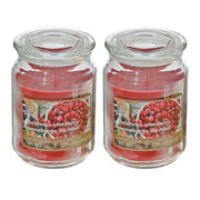 18 oz Scented Jar Candle with Christmas Cranberry Fragrance - Set of 2, Holiday Candle, Christmas Decor, Festive Home Accent