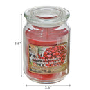 18 Oz Scented Jar Candle (Christmas Cranberry) - Set of 2