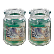 18 oz Scented Jar Candle with Tis The Season Fragrance - Set of 2, Christmas Candle, Holiday Decor, Festive Home Accent
