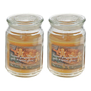 18 oz Scented Jar Candle with Frosted Gingerbread Fragrance - Set of 2, Christmas Candle, Holiday Decor, Festive Home Fragrance