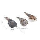 Bird Clip - Set of 3