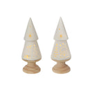 Led Ceramic Tree With Wood Base