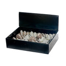 Glitter Tree Ornament (Asstd) (12/Disp) - Set of 12