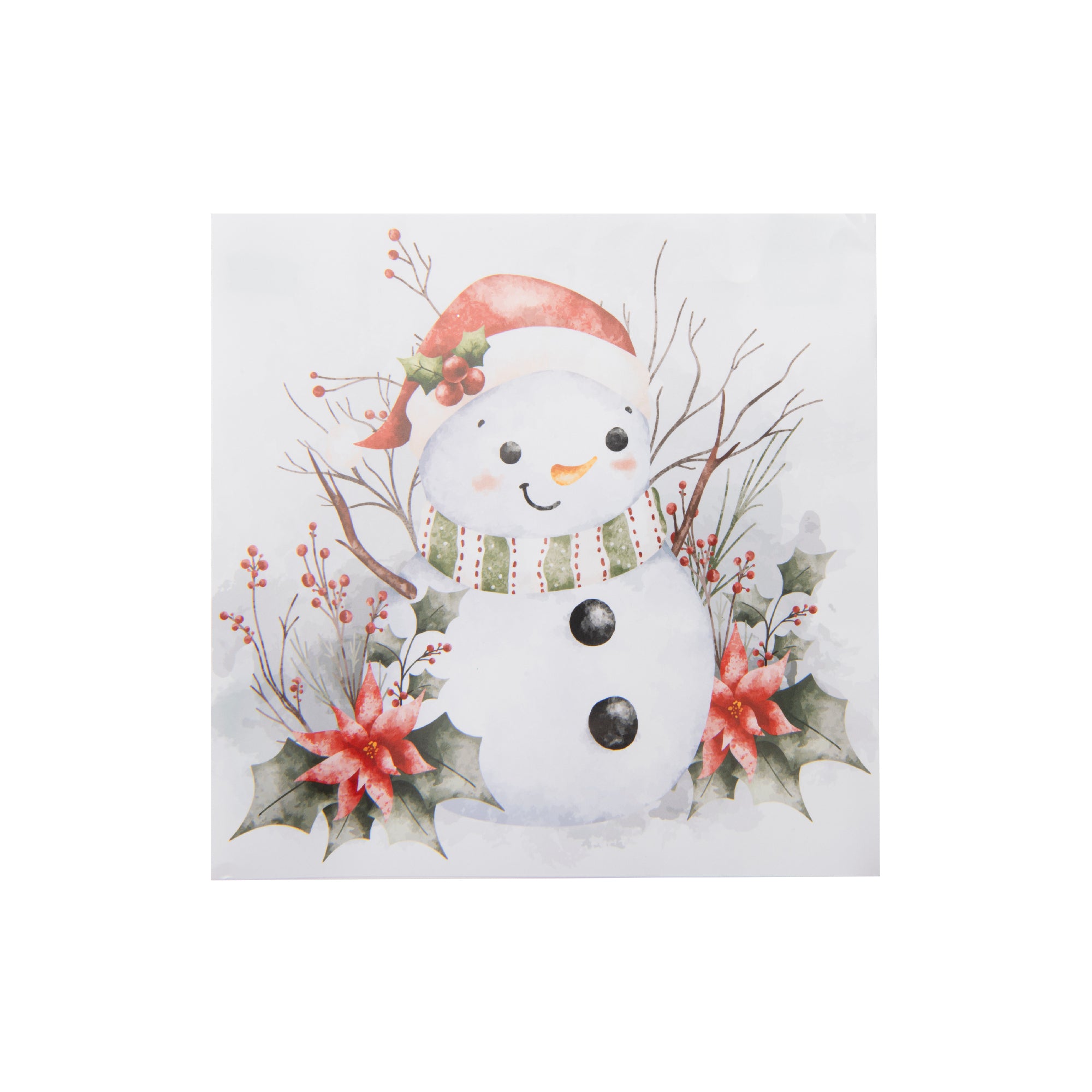 20 Pack Luncheon 3 Ply Napkin Snowman Poinsettia, Christmas, Paper Napkins, Holiday Decor- Set of 6