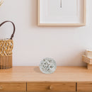 Frosted Glitter Snowflake Glass Orb