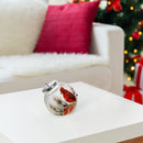 Led Crackled Glass Ornament Decor (Cardinal On Giftbox)