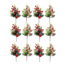 Berries And Apple Pick (Asstd) - Set of 12