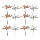 Poinsettia Feather Pick (Asstd) - Set of 12