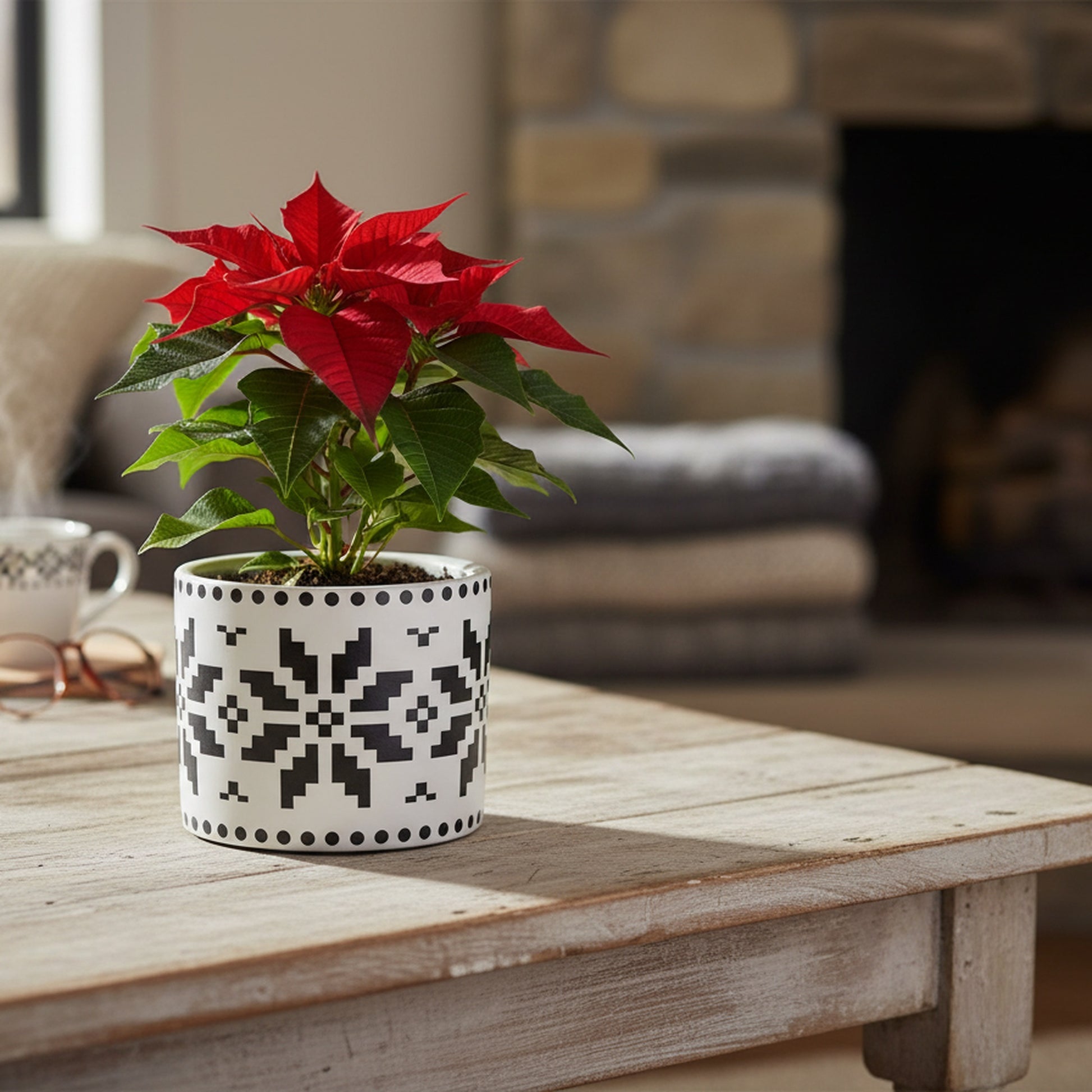 Danish Poinsettia Pot Small, Christmas, Planter, Holiday Decor- Set of 3