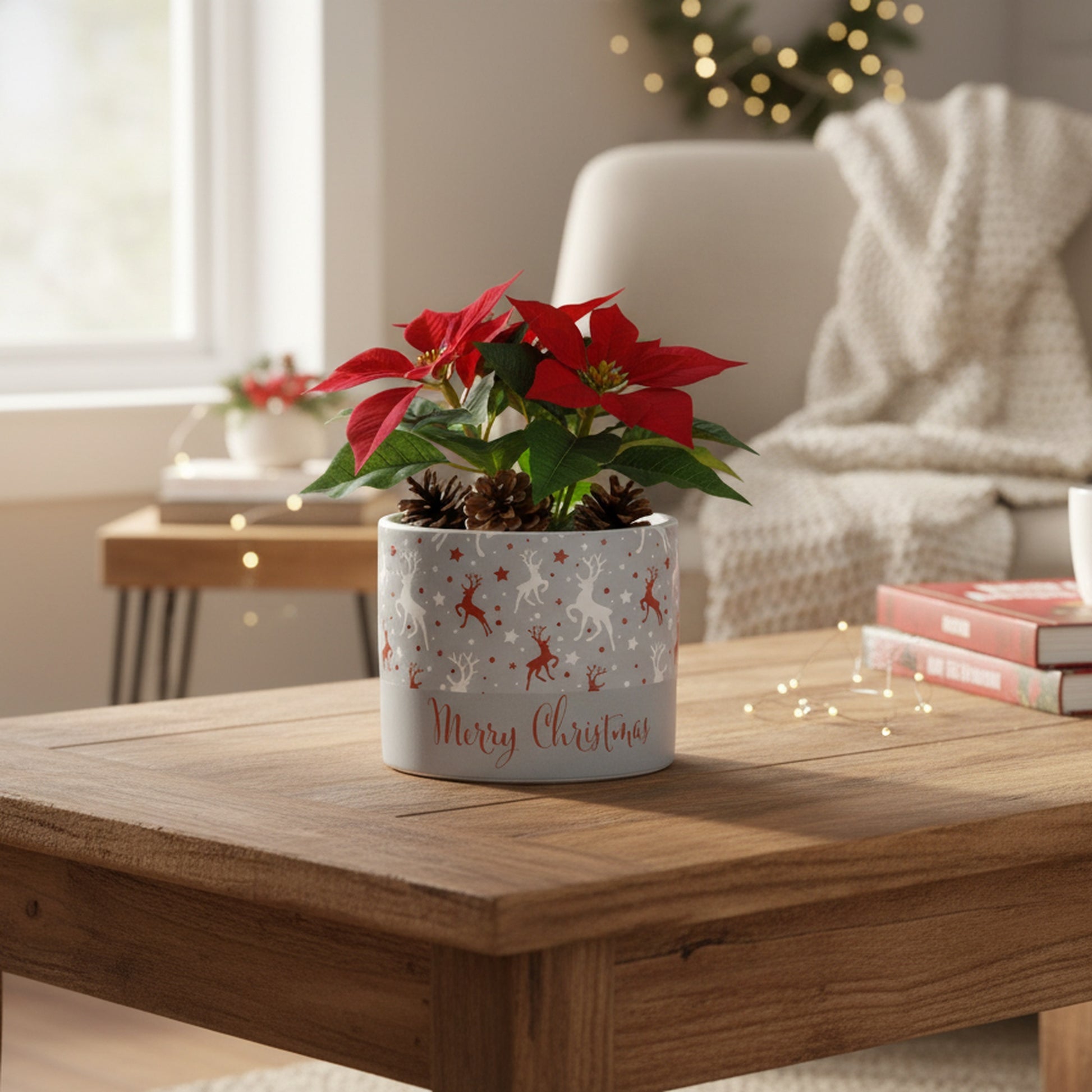 Merry Christmas Pot Medium, Christmas, Planter, Holiday Decor- Set of 3