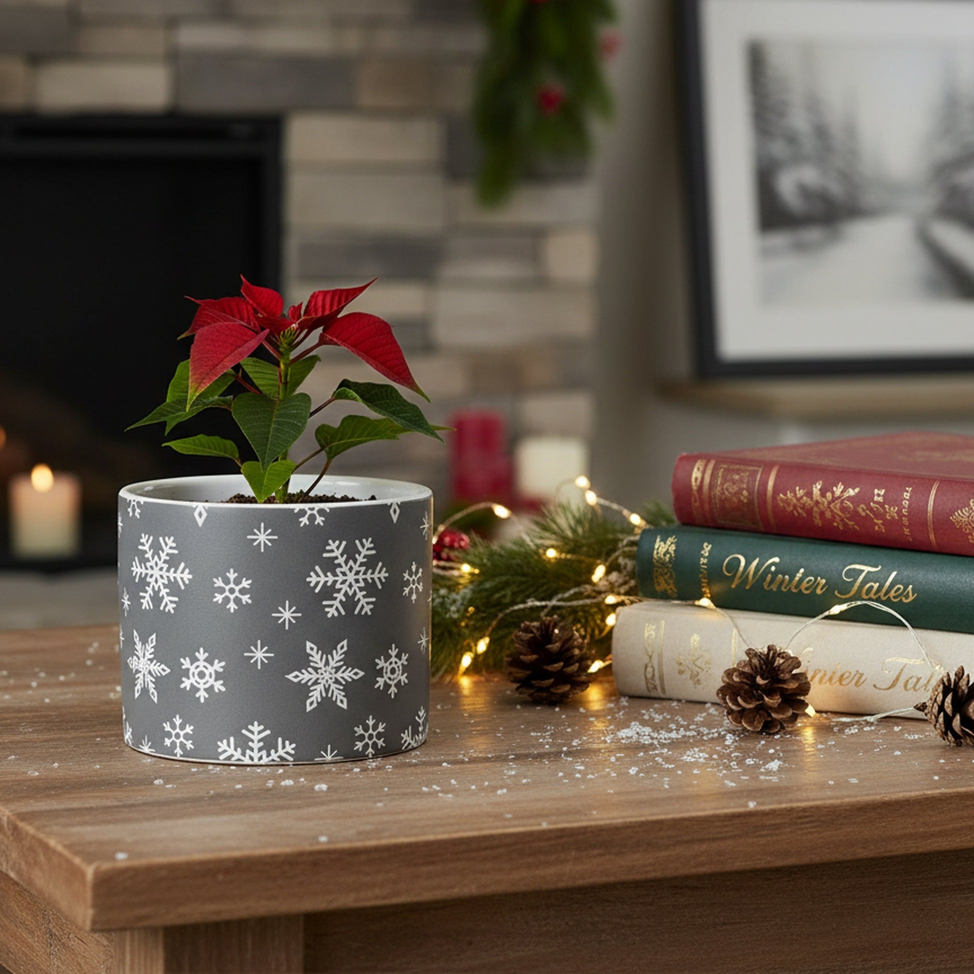 Scattered Snowflake Pot Medium, Christmas, Planter, Holiday Decor- Set of 3