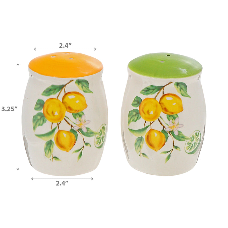Ceramic Lemon Salt & Pepper Shaker Set