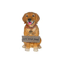 Retriever With Sign Harley