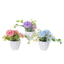 Artificial Carnation In White Pot Asstd - Set of 3