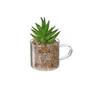 Artificial Succulent In Glass Cup Asstd - Set of 2