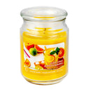 18 Oz Scented Jar With Glass Lid (Zesty Citrus) - Set of 2