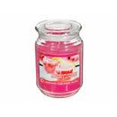 18 Oz Scented Jar With Glass Lid (Watermelon Lemonade) - Set of 2