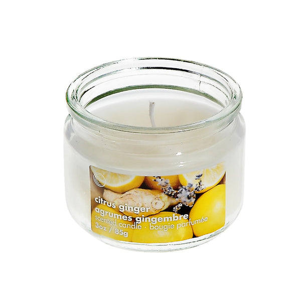 3 Oz Scented Glass Jar With Lid (Citrus Ginger) - Set of 4