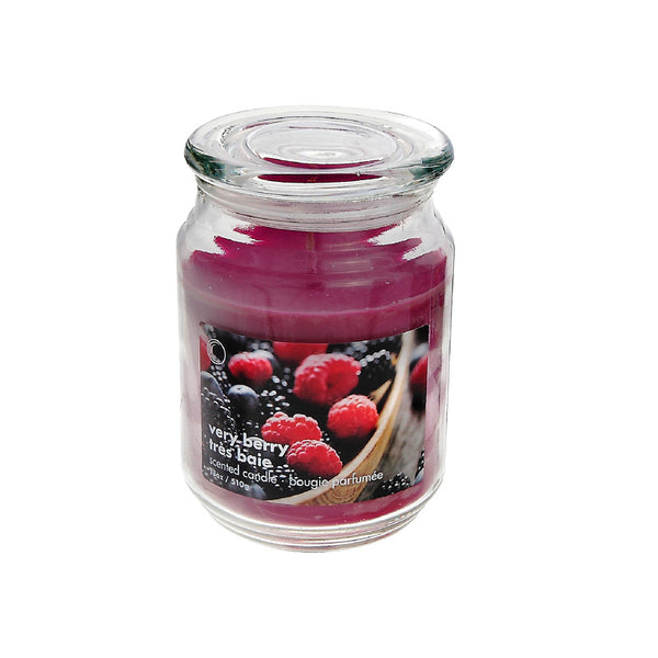 18 Oz Scented Jar With Glass Lid (Very Berry) - Set of 2