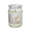 18 Oz Scented Jar With Glass Lid Sweet Jasmine - Set of 2