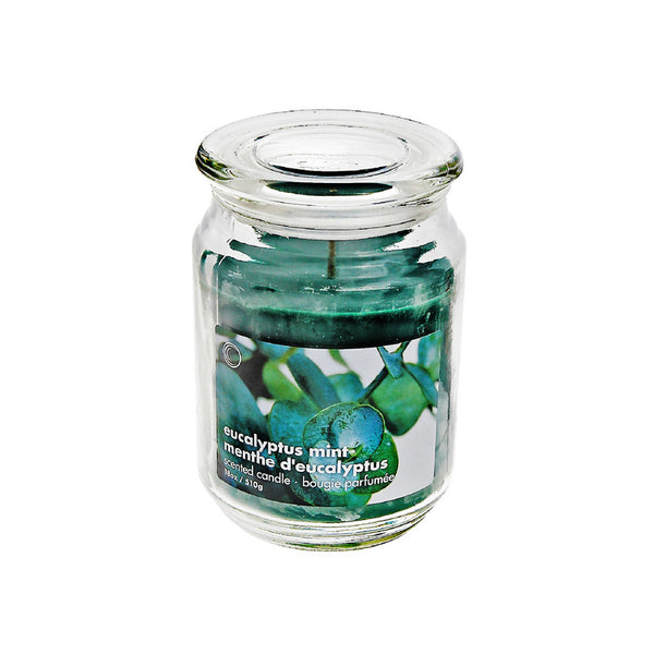 18 Oz Scented Glass Jar With Glass Lid (Eucalyptus Mint) - Set of 2