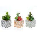Artificial Succulents In Square Tiled Cement Pot Asstd - Set of 3