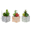Artificial Succulents In Square Tiled Cement Pot Asstd - Set of 3