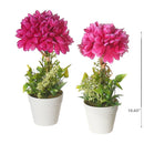 Artificial Chrysanthemum In Plastic Pot Asstd - Set of 2