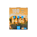 100 Lt Indoor/Outdoor Mini Light Set (Clear Bulbs) - Set of 2
