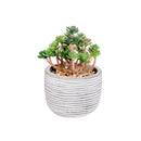 Artificial Succulent In Cement Pot (Asstd) - Set of 2
