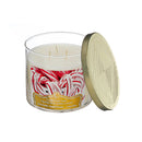 Christmas 14 Oz 3 Wick Jar Candle  Candy Cane - Set of 2